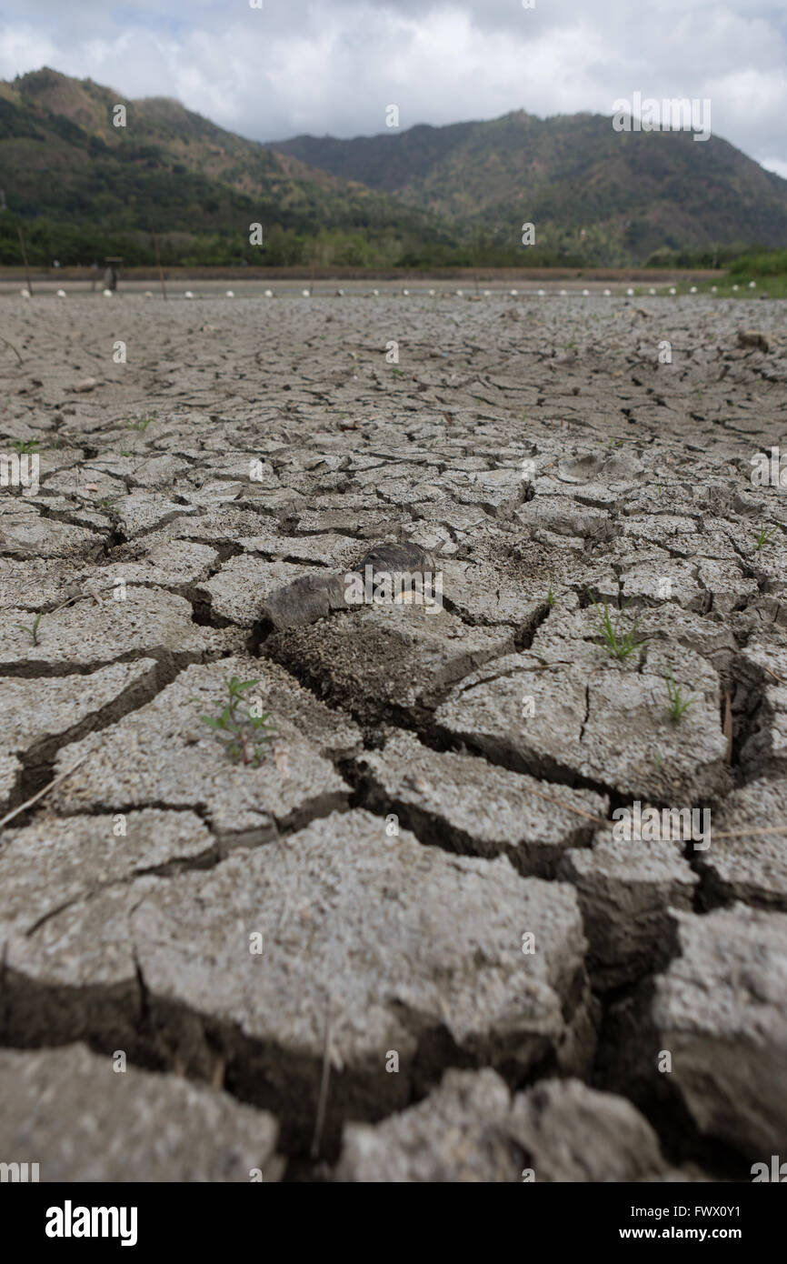 Cebu,Philippines. 8th April, 2016. Extremely dry conditions caused by  El Nino in the Philippines are having a dramatic effect on water supplies.A 'State of Calamity'  was declared on the 8th April 2016 by Cebu City Mayor Michael Rama due to the critically low surface water supplies. © imagegallery2/Alamy Live  News Stock Photo