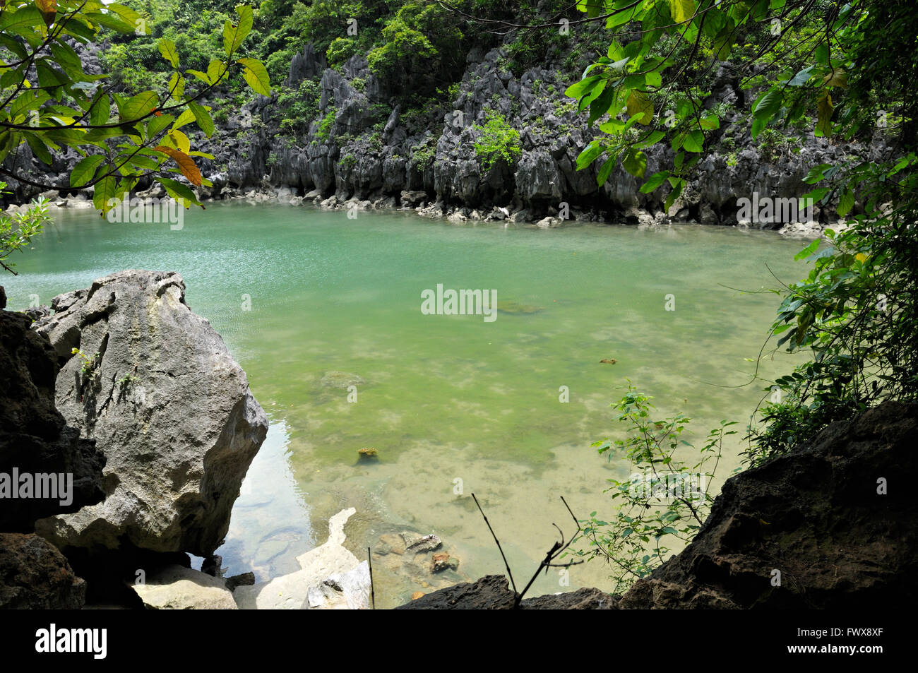 Small lake and vegetation on an island in Bai Tu Long area of Ha Long Bay, Quang Ninh Province, Vietnam Stock Photo