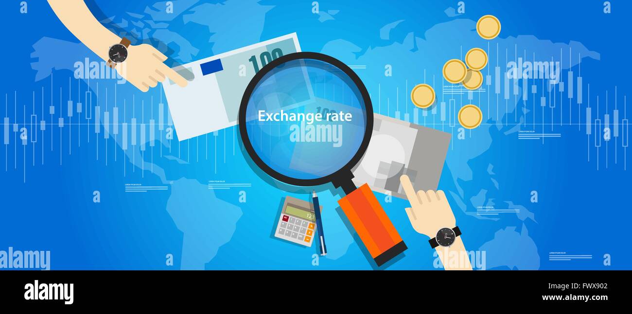 Cursul valutar BNR visual data 8