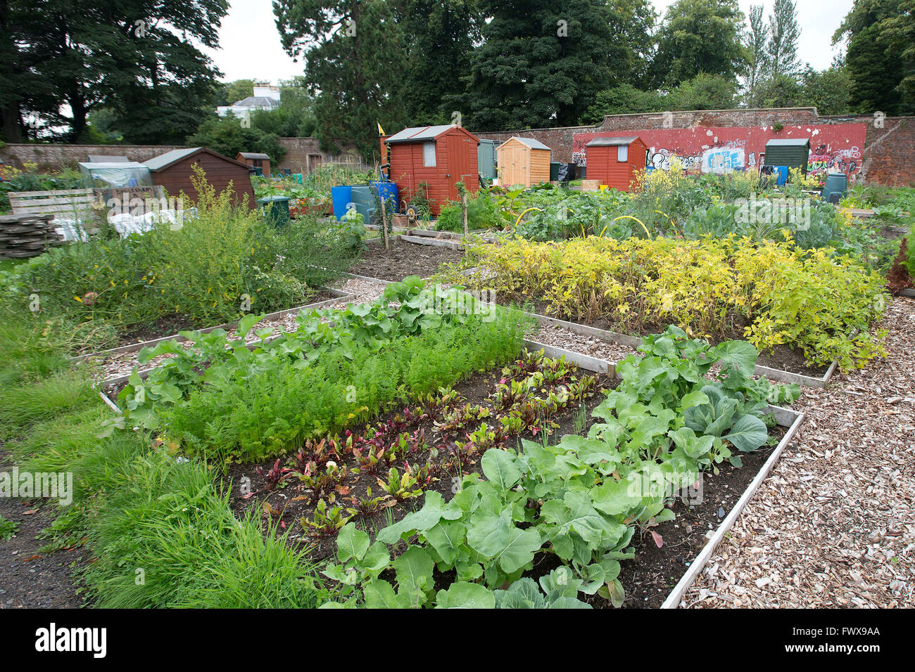 Allotments High Resolution Stock Photography and Images Alamy