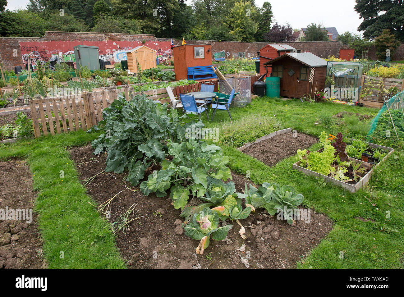 Allotments Stock Photos & Allotments Stock Images Alamy