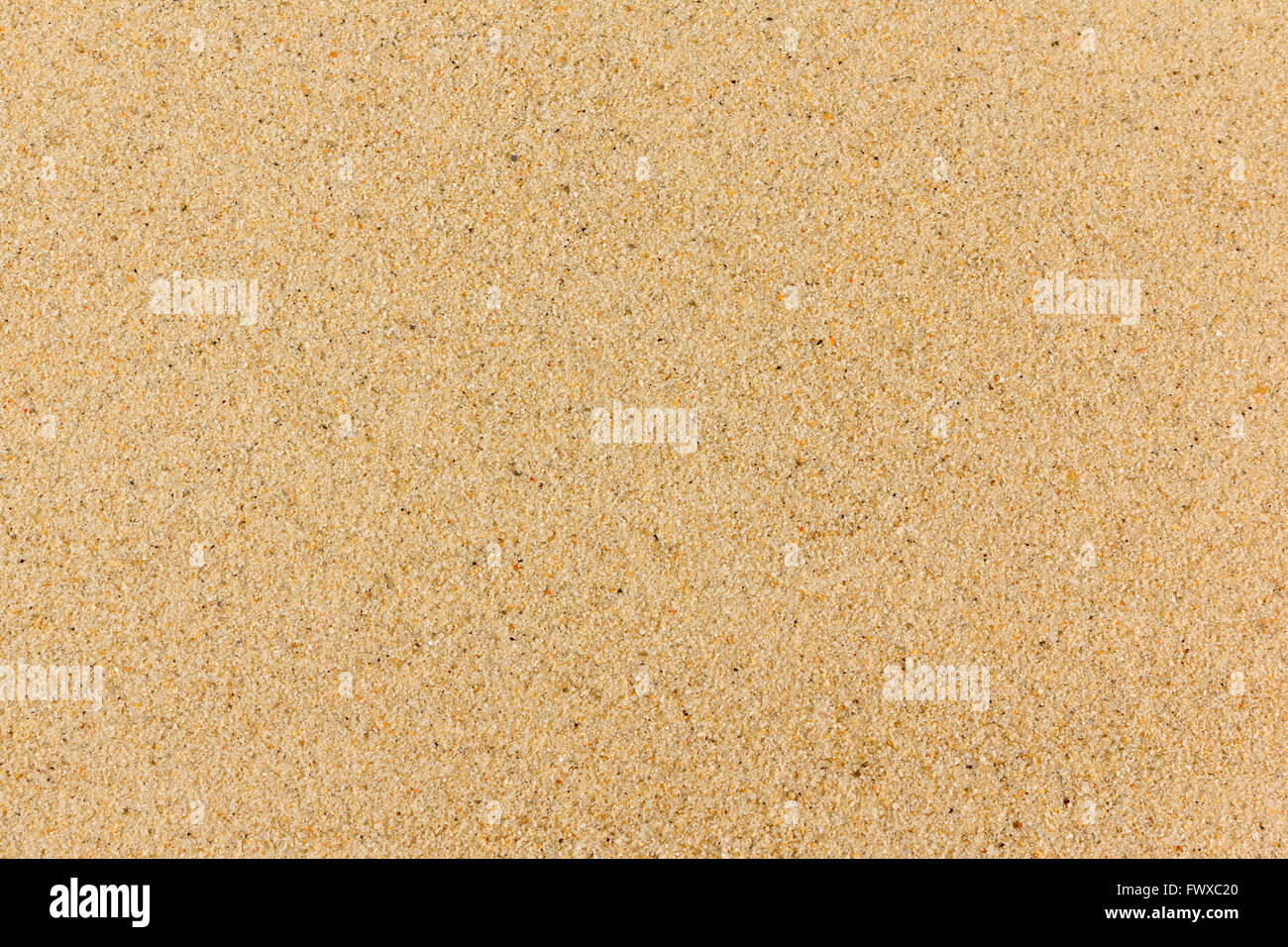 Macro of dry sand Stock Photo