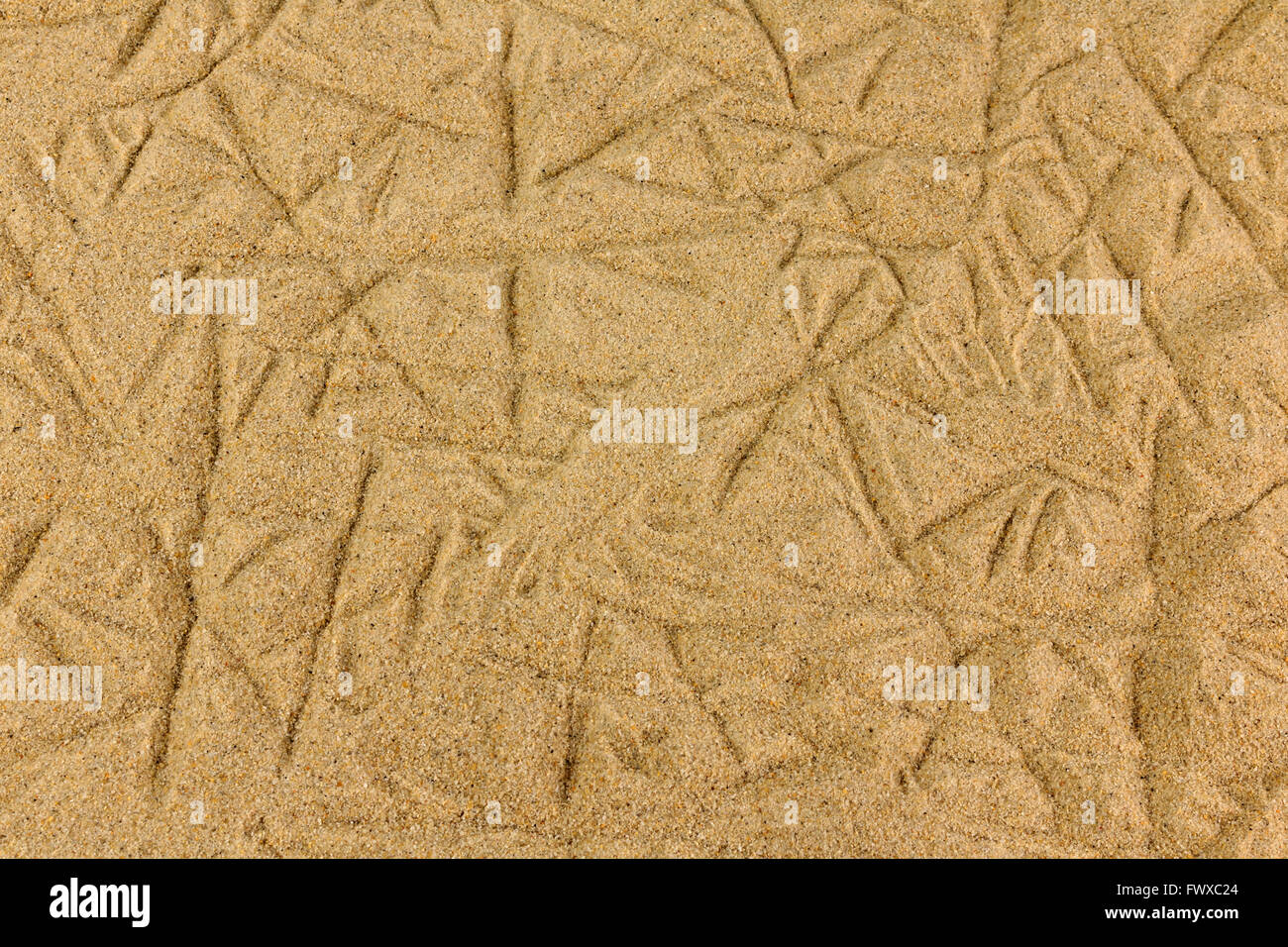 Macro of pattern in dry sand Stock Photo