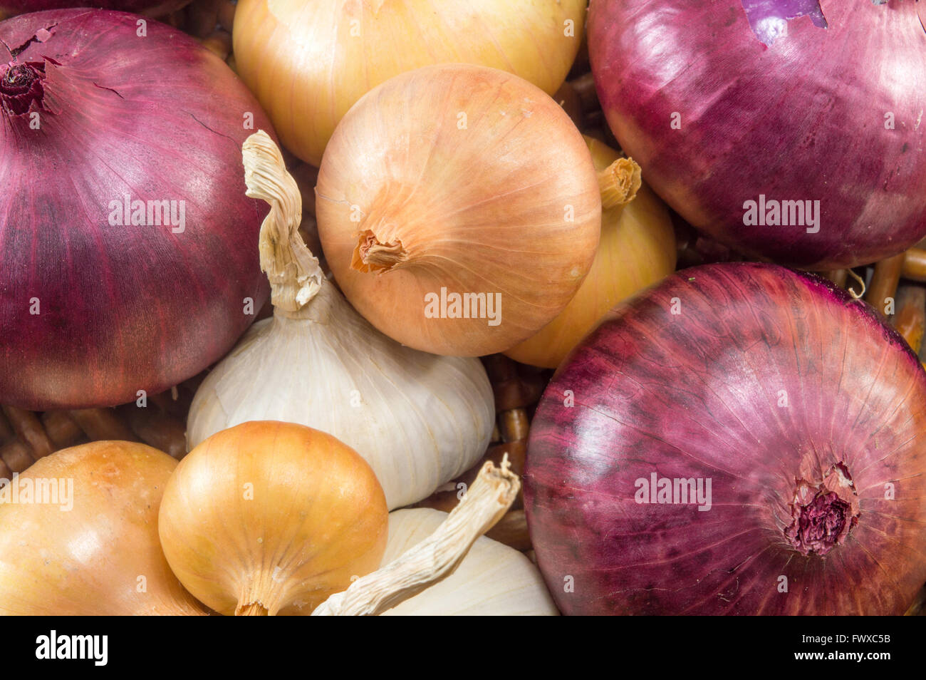Bunch of colorful garlic and onions on a pile Stock Photo