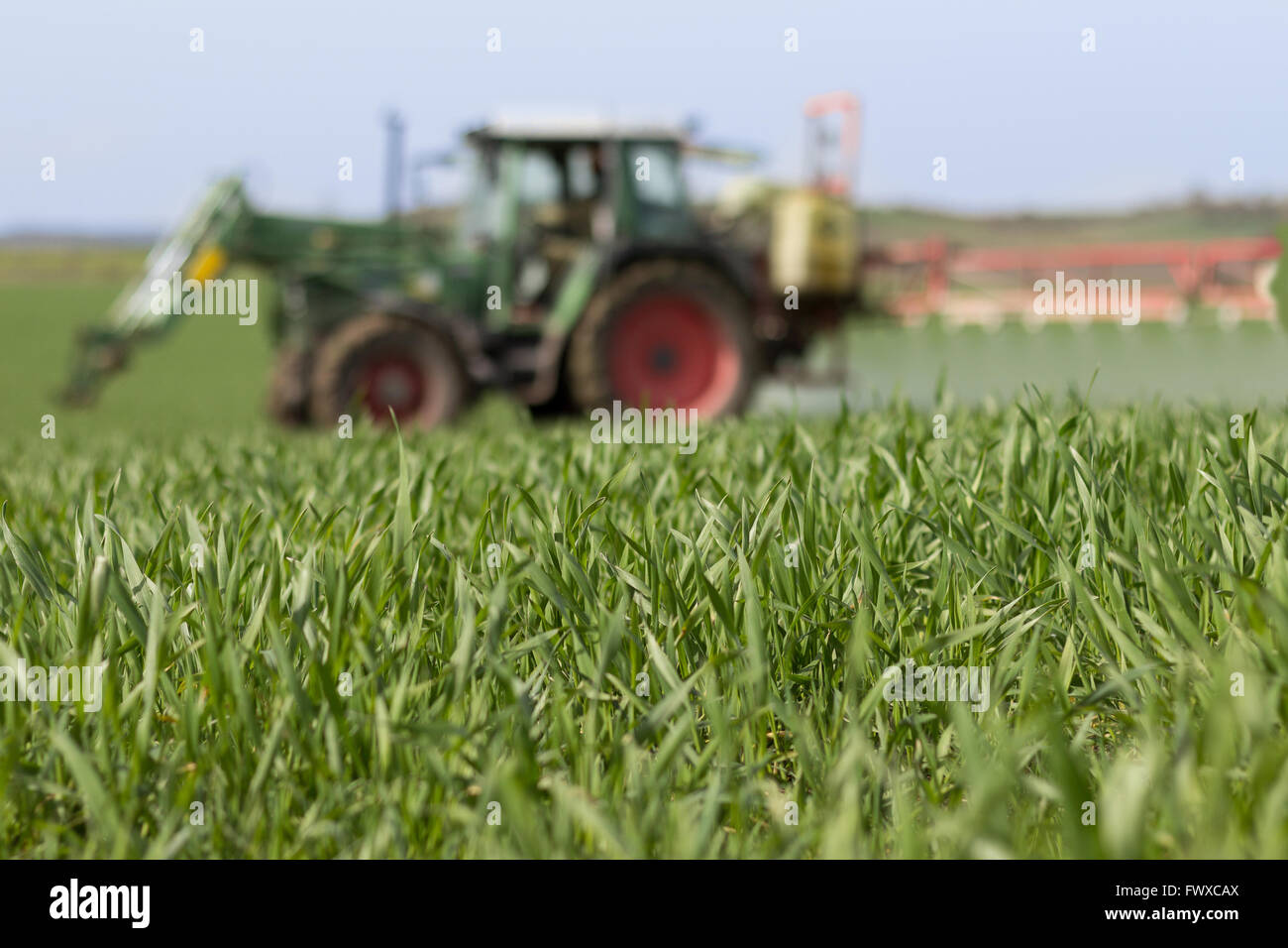 tractor spraying green field - agriculture background Stock Photo