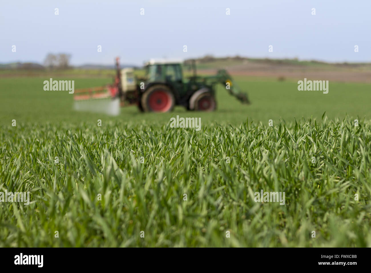 tractor spraying green field - agriculture background Stock Photo
