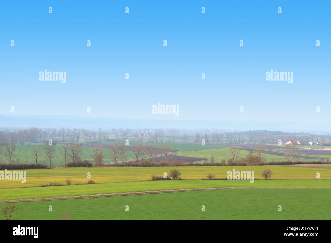 rural landscape with green fields and blue sky Stock Photo - Alamy