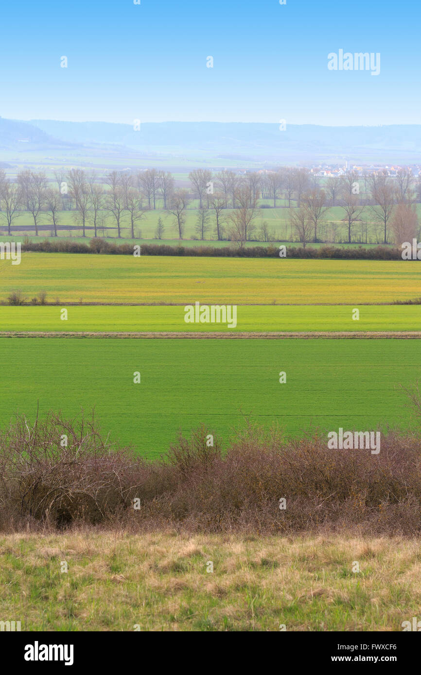 rural landscape with green fields and blue sky Stock Photo - Alamy