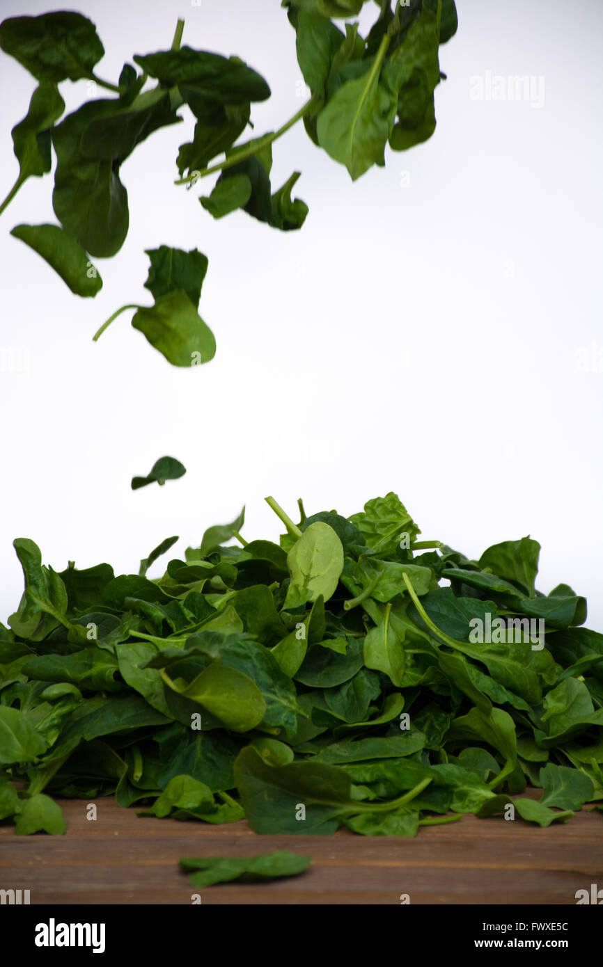 Leaves of fresh green spinach, white background Stock Photo - Alamy