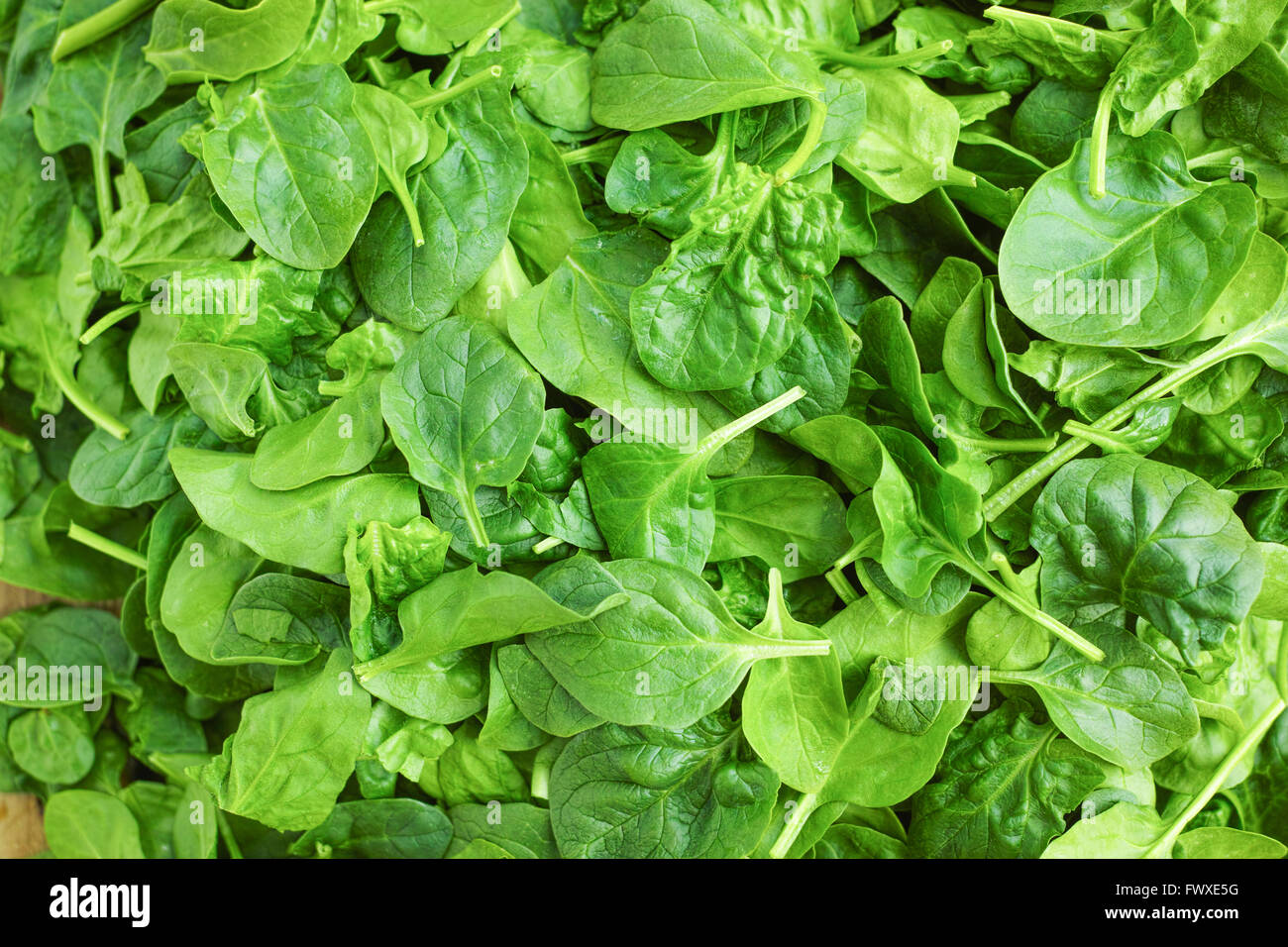 Leaves of fresh green spinach, green background Stock Photo - Alamy