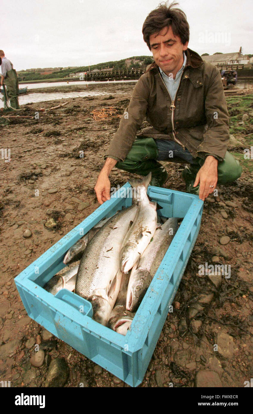 Scientists net Salmon on the river Tweed near Berwick Stock Photo Alamy