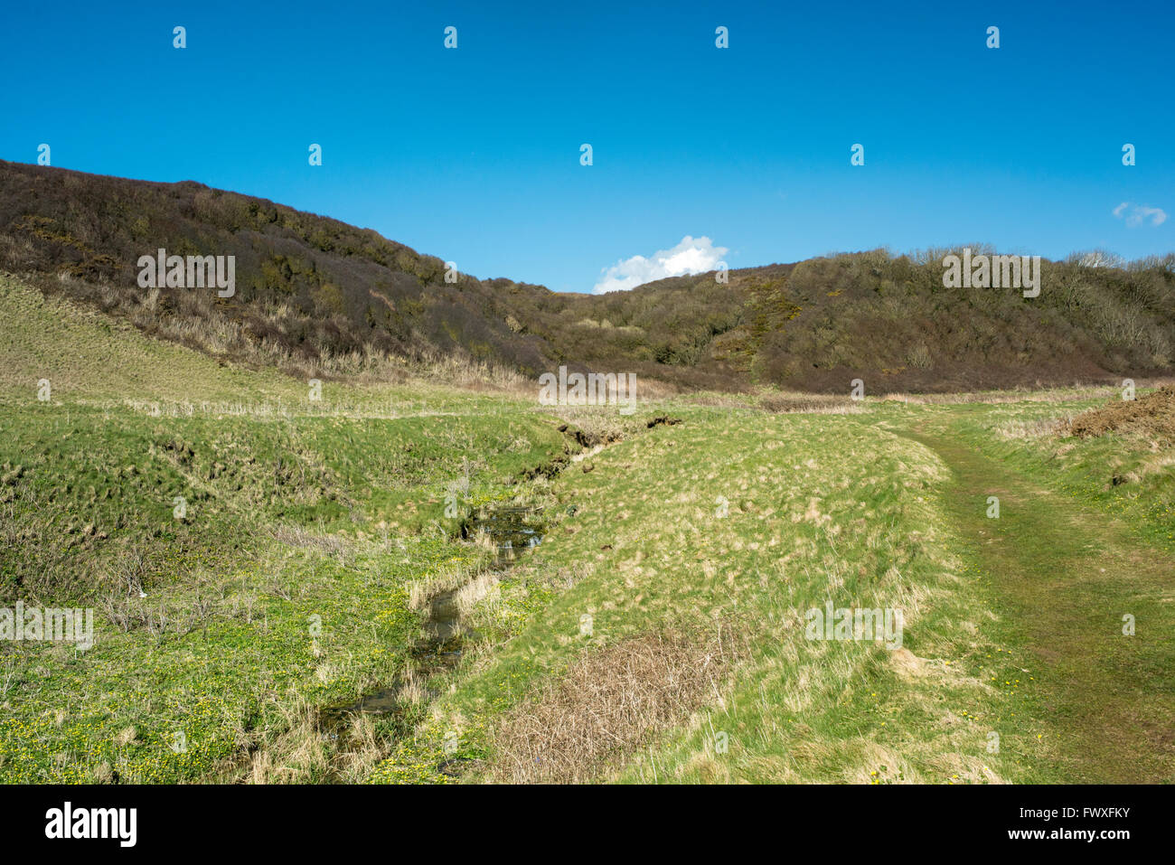 Valley with a brook running through it. Stock Photo