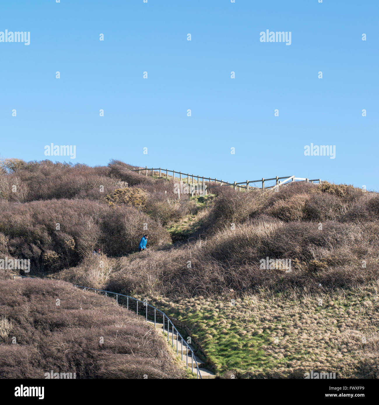 Railed stairway leading to a cliff top on the South Wales Heritage Coast. Stock Photo