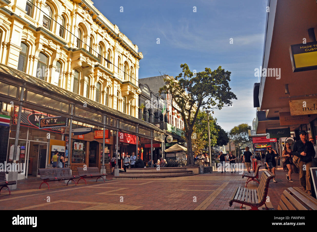 Cuba Street in Wellington New Zealand Stock Photo