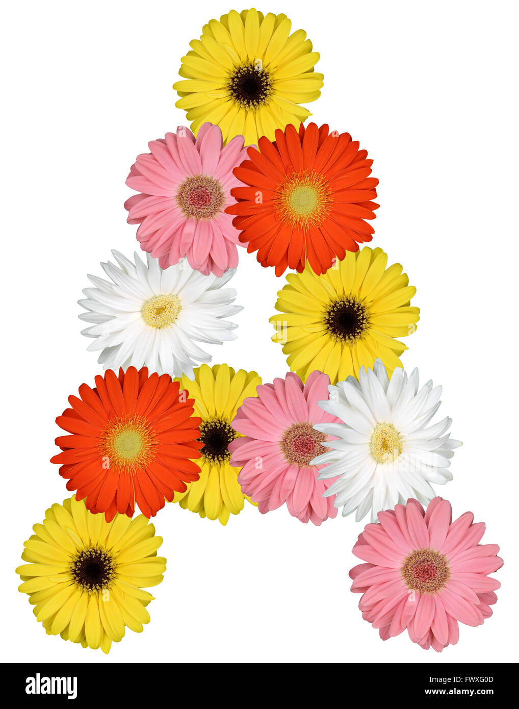 Letter A alphabet from flowers isolated on a white background Stock Photo