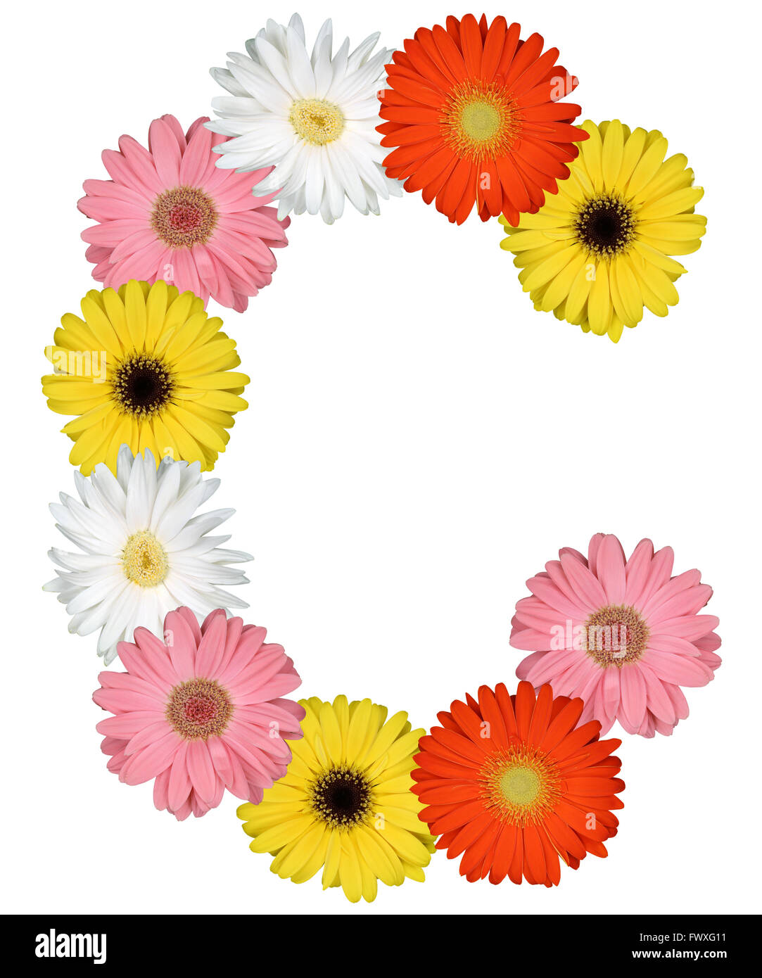 Letter C alphabet from flowers isolated on a white background Stock Photo