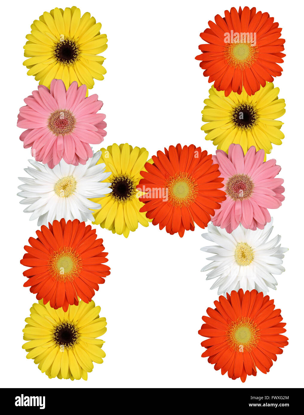 Letter H alphabet from flowers isolated on a white background Stock Photo