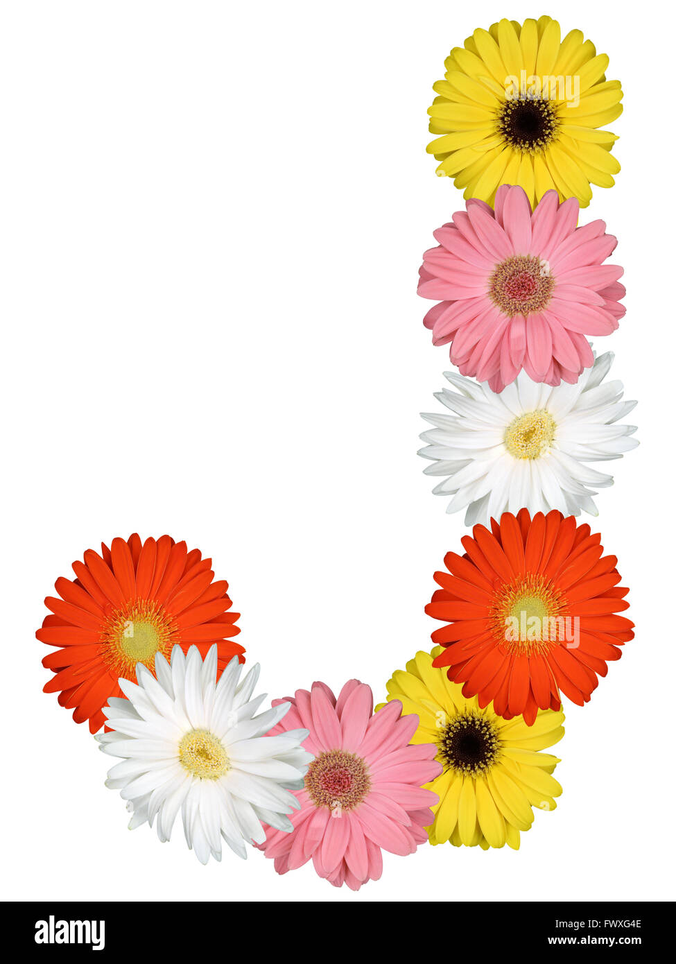 Letter J alphabet from flowers isolated on a white background Stock