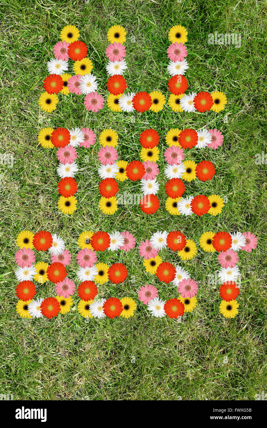 All the best good luck wishes with flowers flower meadow Stock - Alamy
