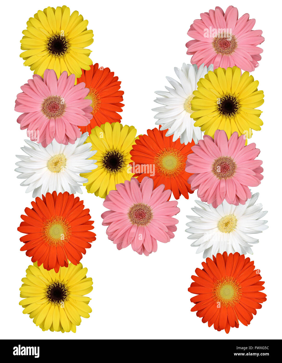 Letter M alphabet from flowers isolated on a white background Stock