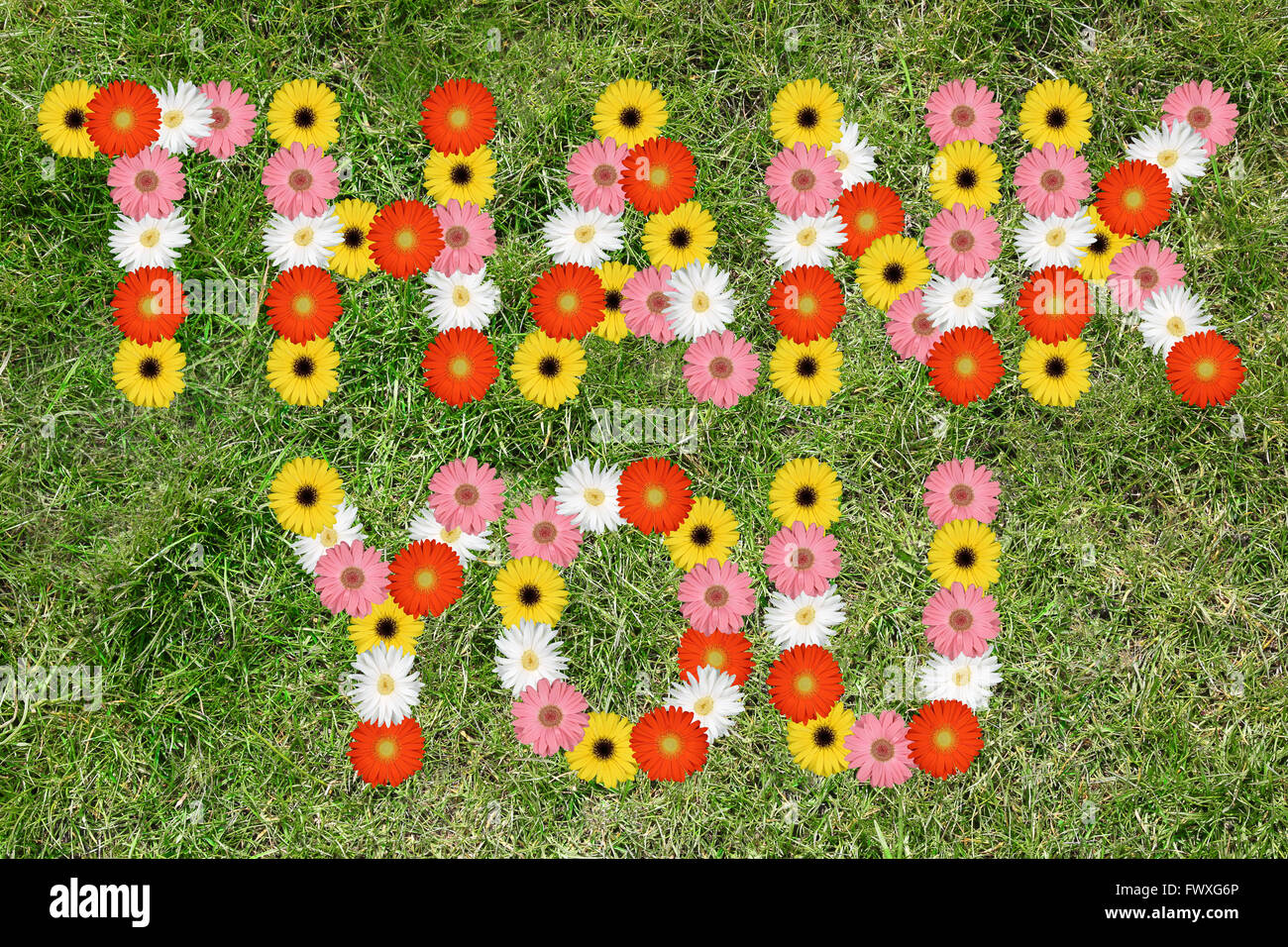 Thank you flowers hi-res stock photography and images - Alamy