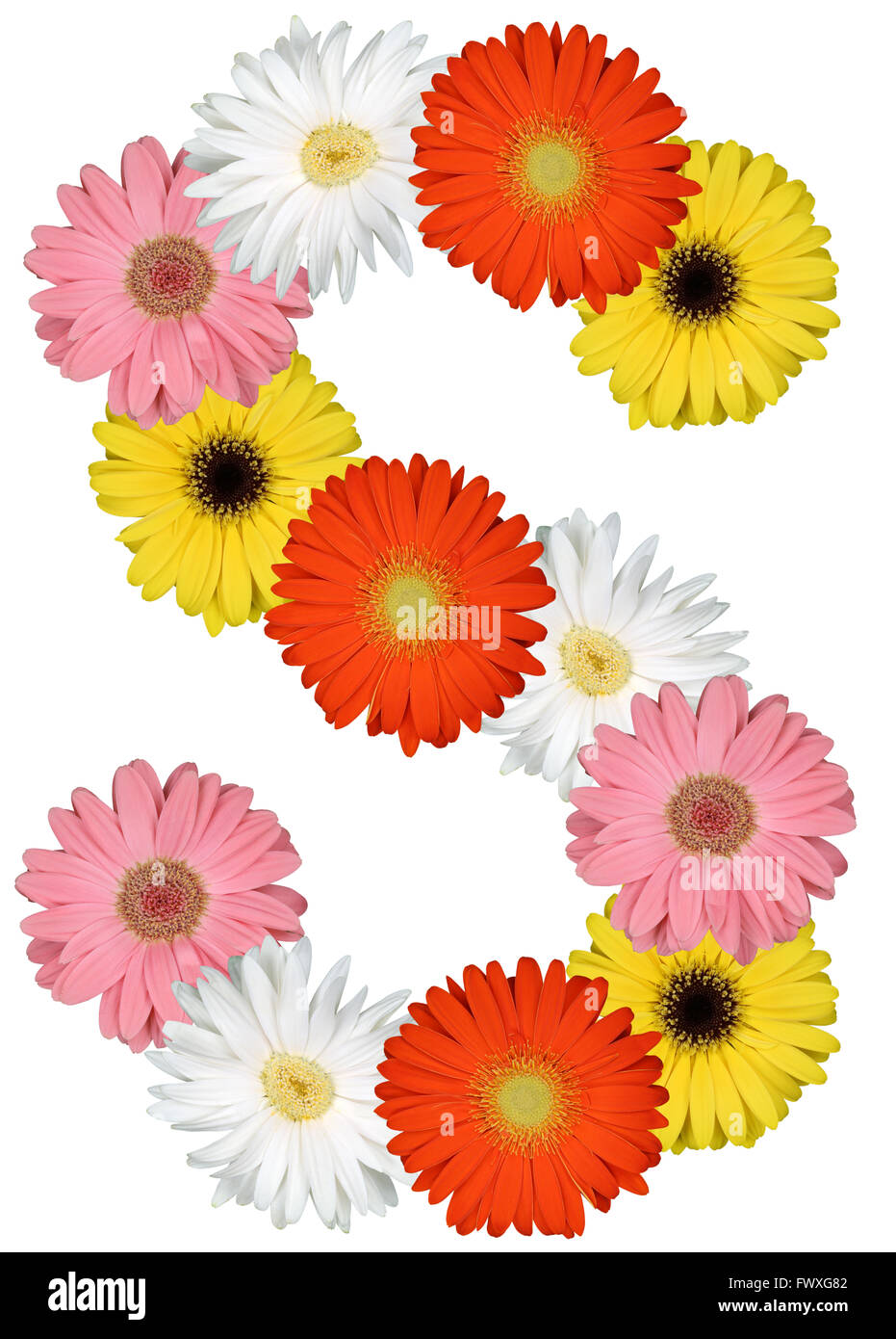 Letter S alphabet from flowers isolated on a white background Stock Photo