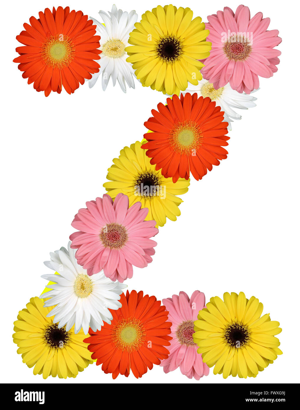 Letter Z alphabet from flowers isolated on a white background Stock Photo Alamy
