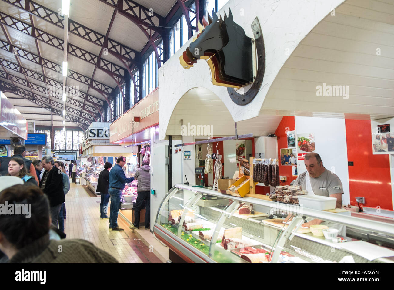 Horse meat for sale at this local butcher shop at,in, indoor food