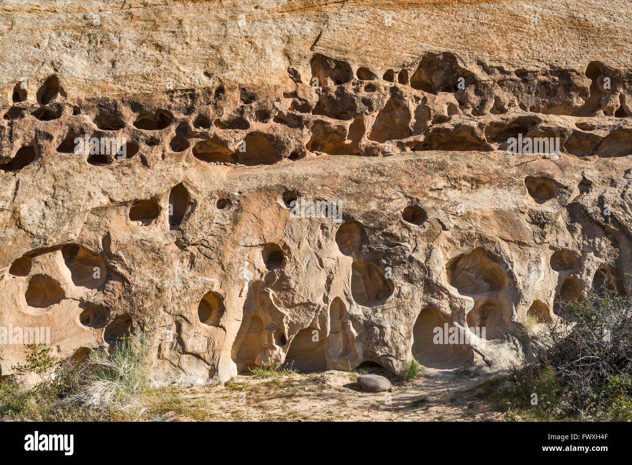 Flood Eroded Holes At Rock Boulder Near Behunin Cabin In Capitol