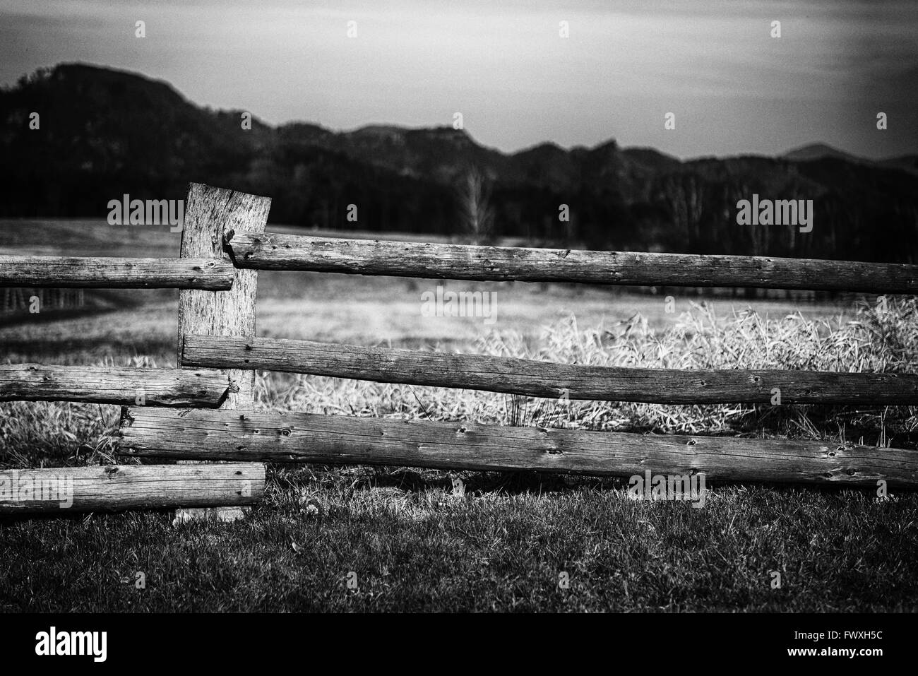 Old wooden picket fence Black and White Stock Photos & Images - Alamy