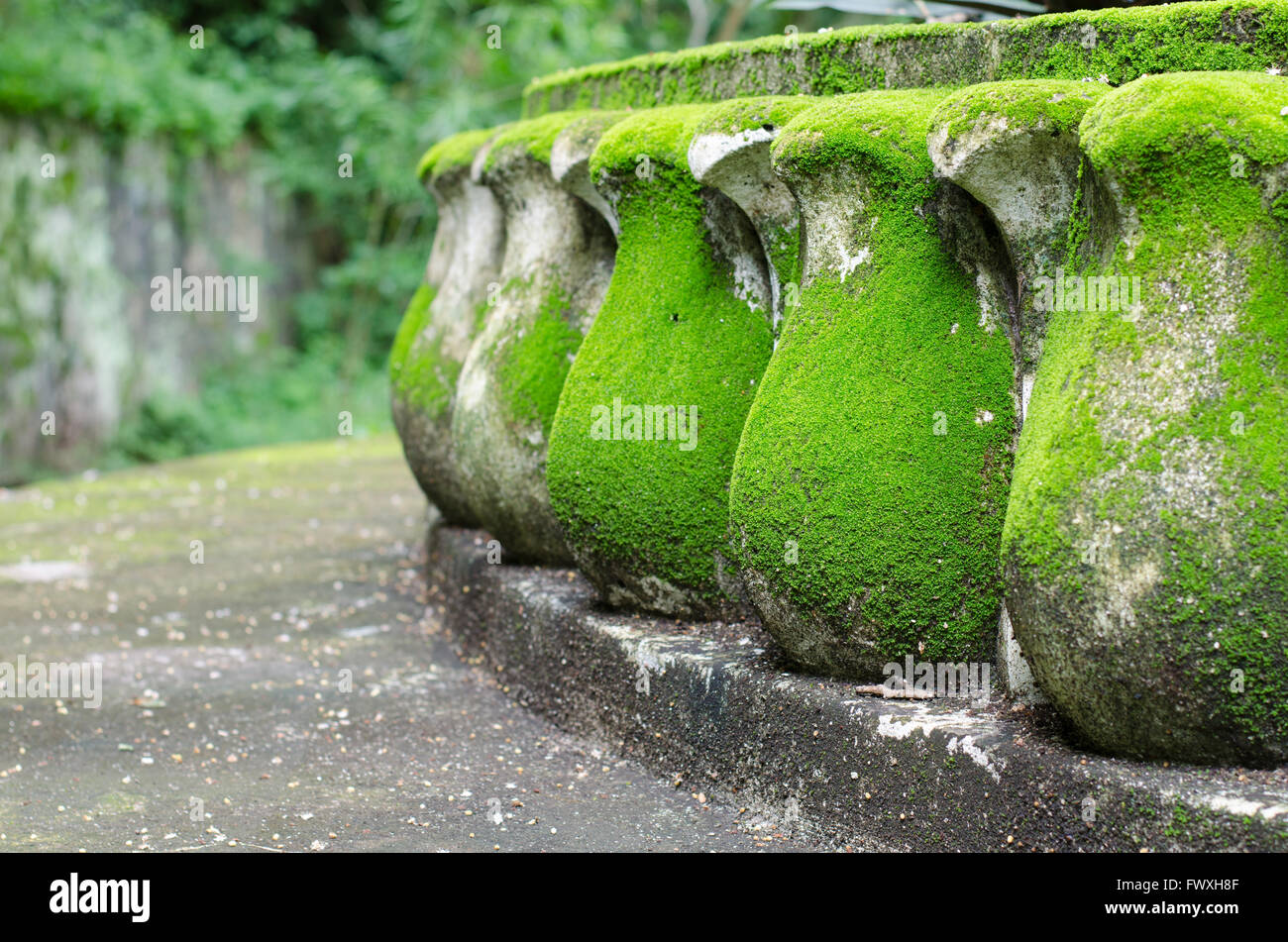 green moss growing on lotus Statue Stock Photo Alamy