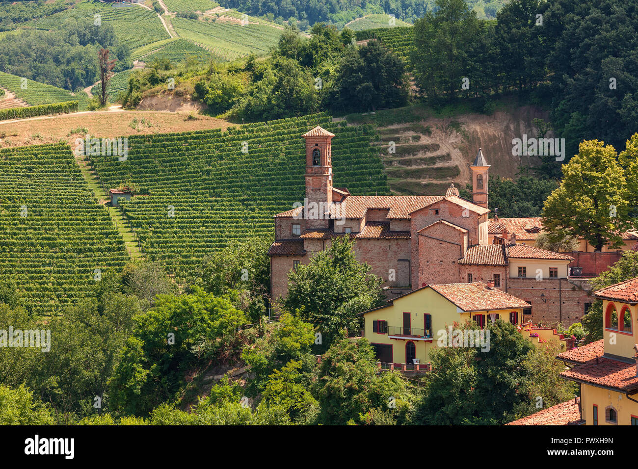 Small parish church among green vineyards in Piedmont, Northern Italy. Stock Photo