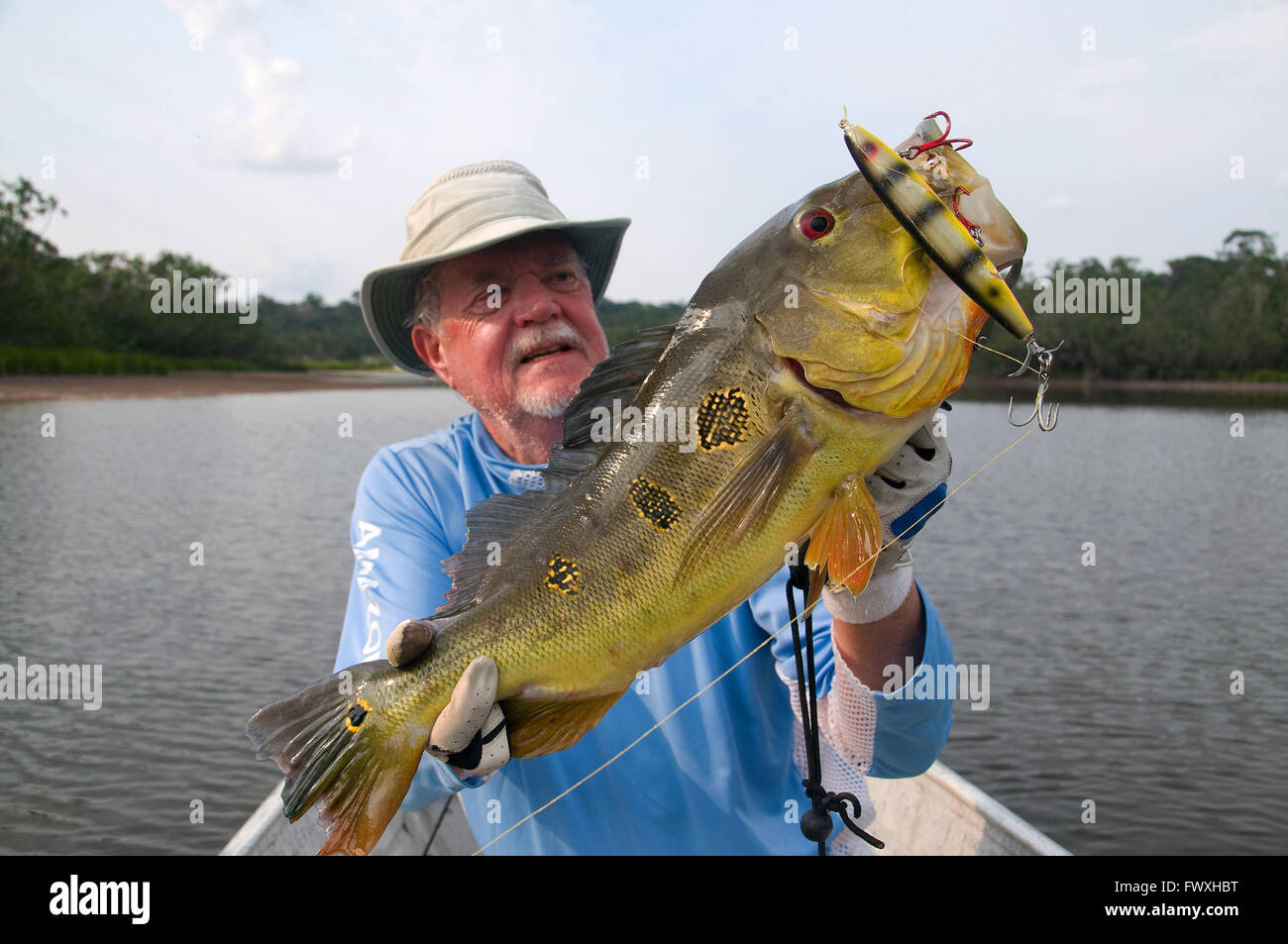 An angler lifts a giant butterfly peacock bass caught on a chopper-type plug in lagoon waters off Colombia's Bocon River. Stock Photo