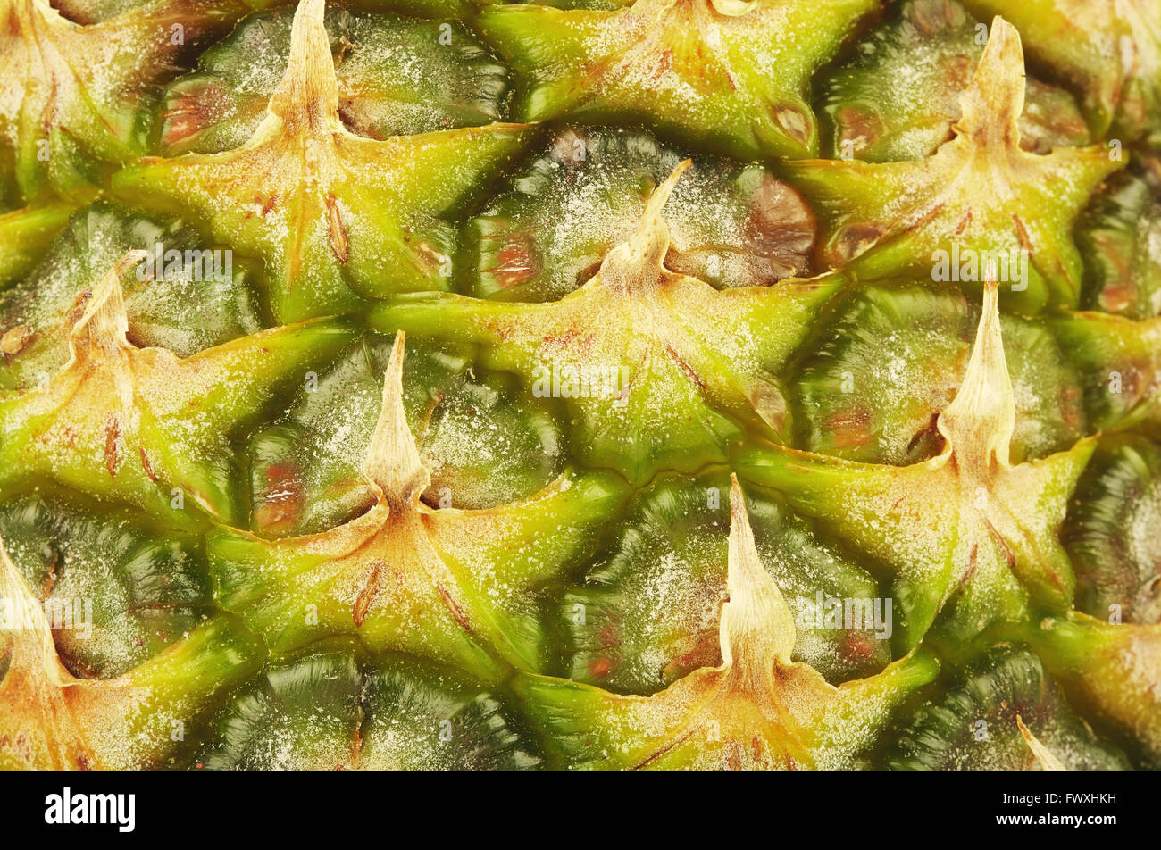 green pineapple skin texture, close up shot Stock Photo Alamy