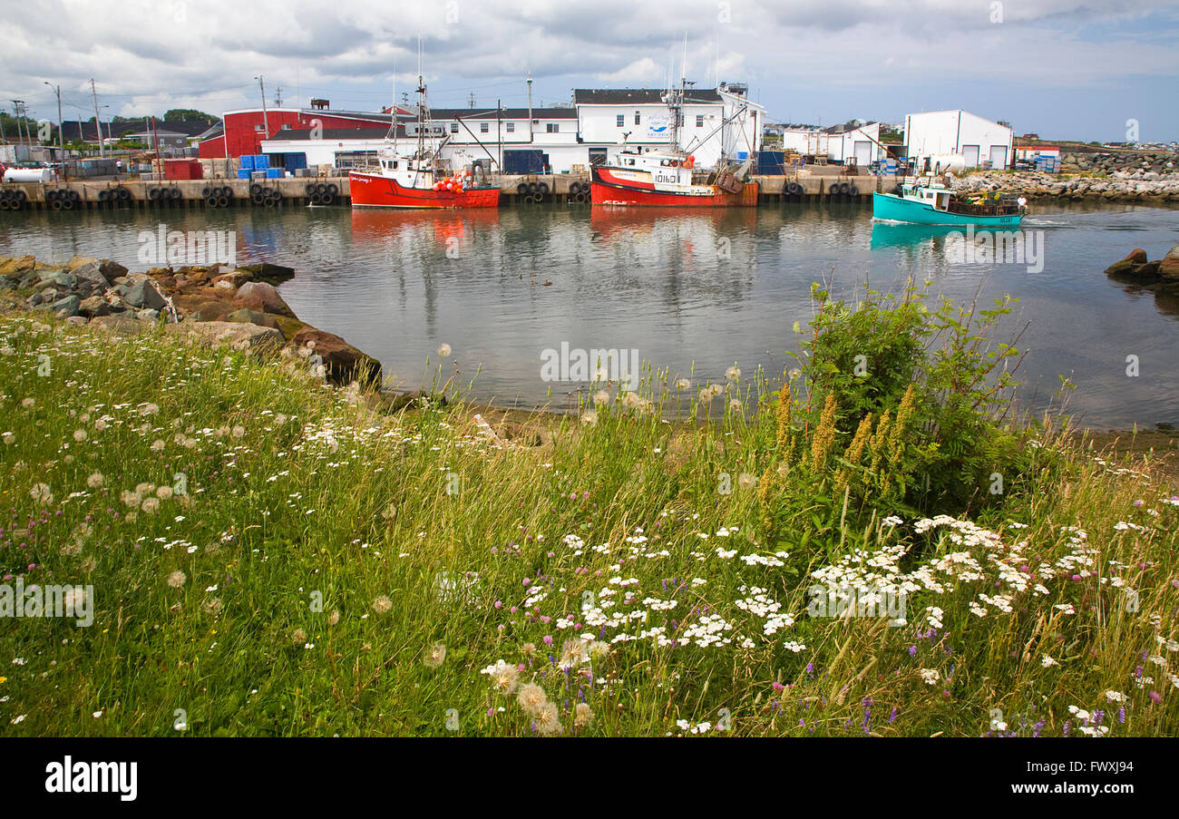 Glace bay hires stock photography and images Alamy