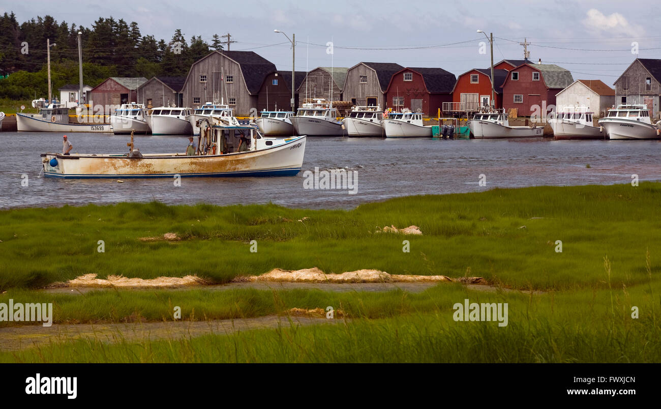 Views of Malpeque,Canada Stock Photo Alamy