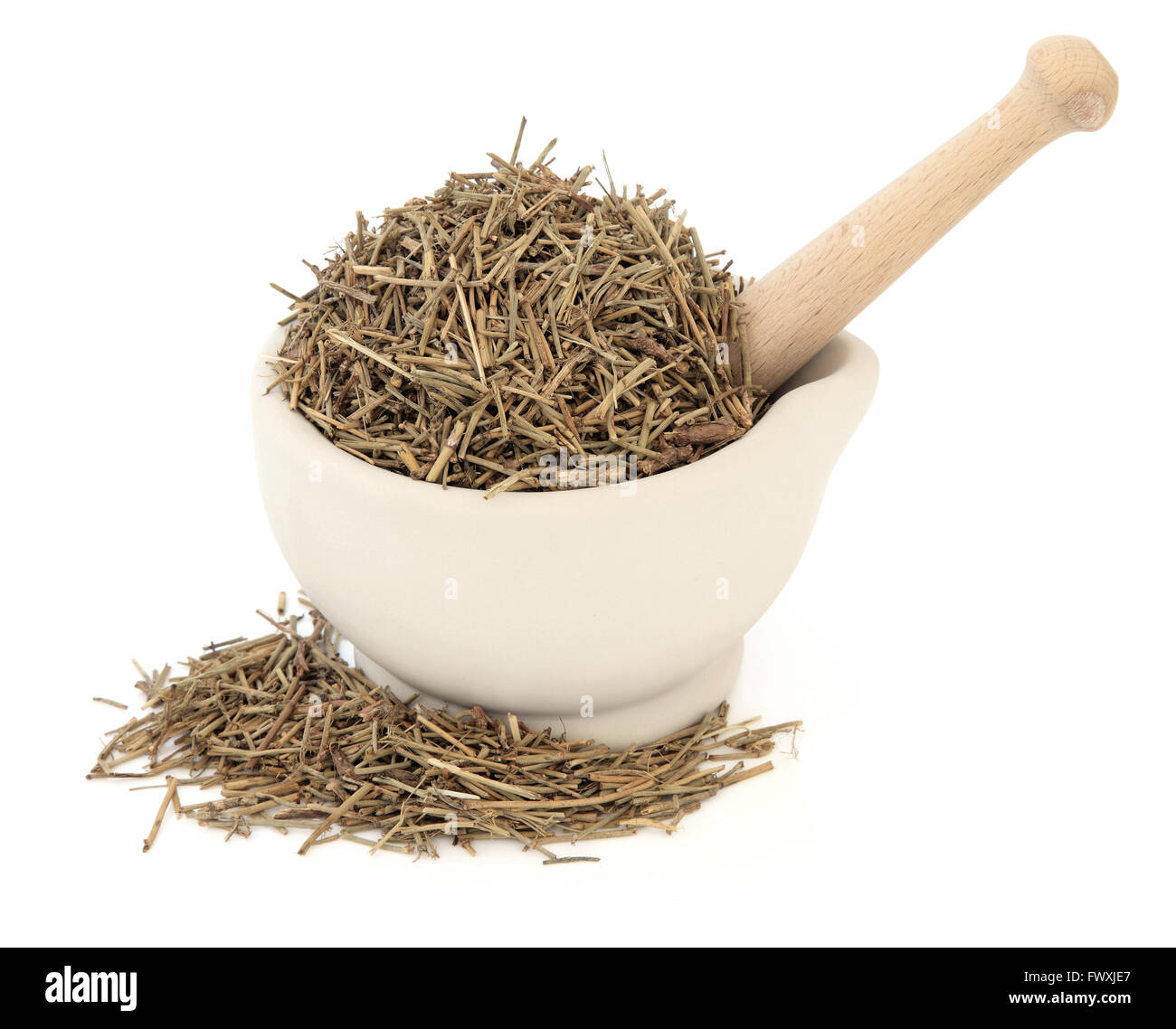 Ephedra herb in a stone mortar with pestle over white background. Ma