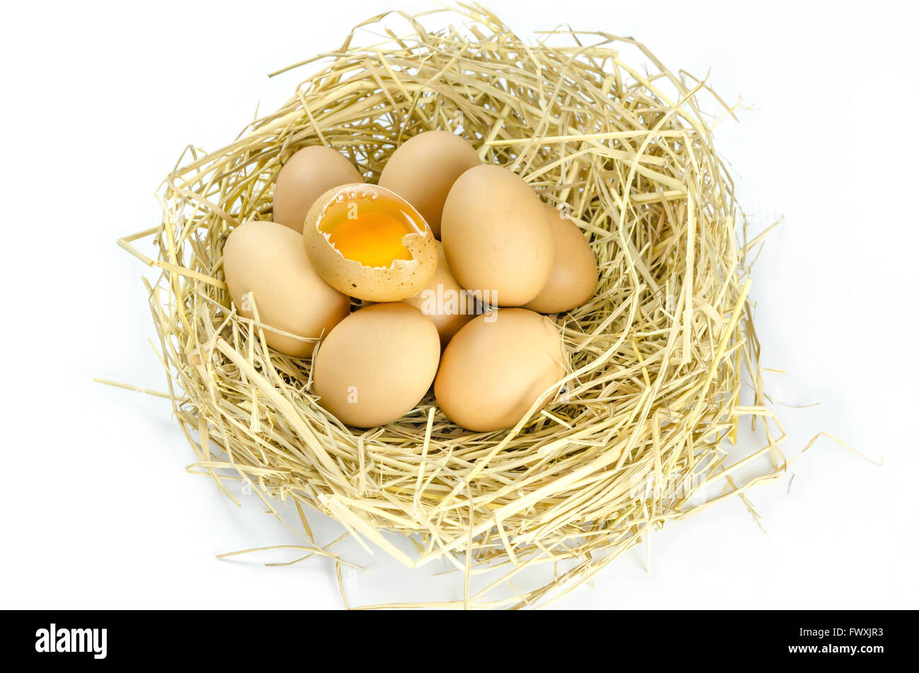 Brown eggs in a nest on a white background Stock Photo - Alamy