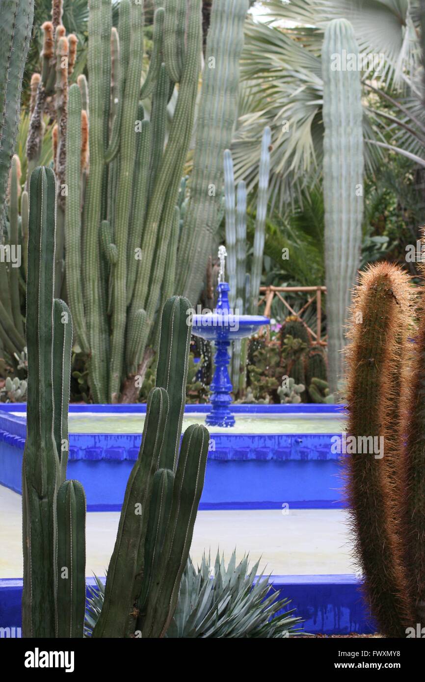 Majorelle cactus garden with fountain Stock Photo