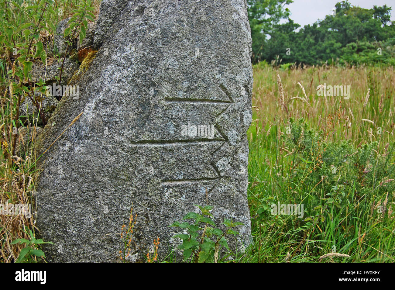 carved runes on an ancient stone monument in a field on dartmore, england uk Stock Photo