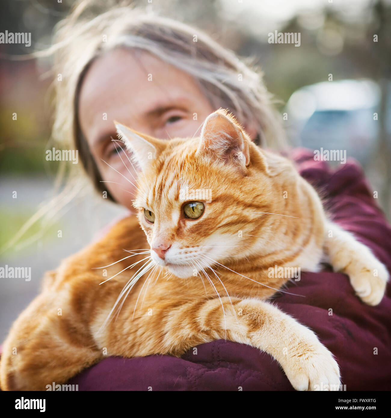 Sweden, Vastergotland, Fristad, Woman carrying cat Stock Photo Alamy