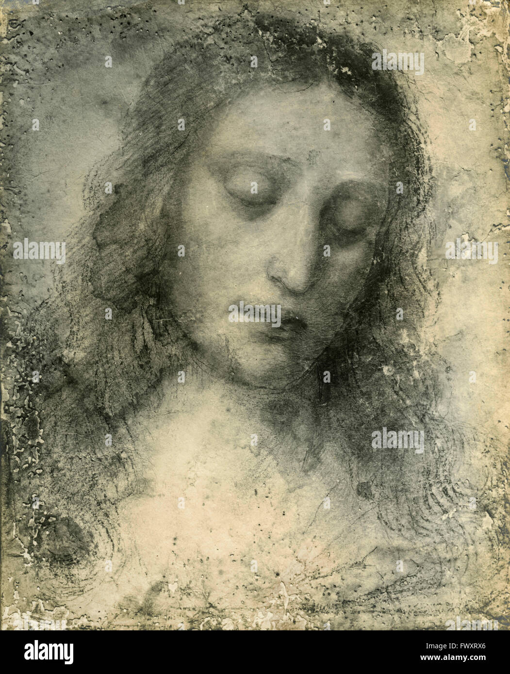 Head, drawing by Leonardo da Vinci, Brera, Milan, Italy Stock Photo