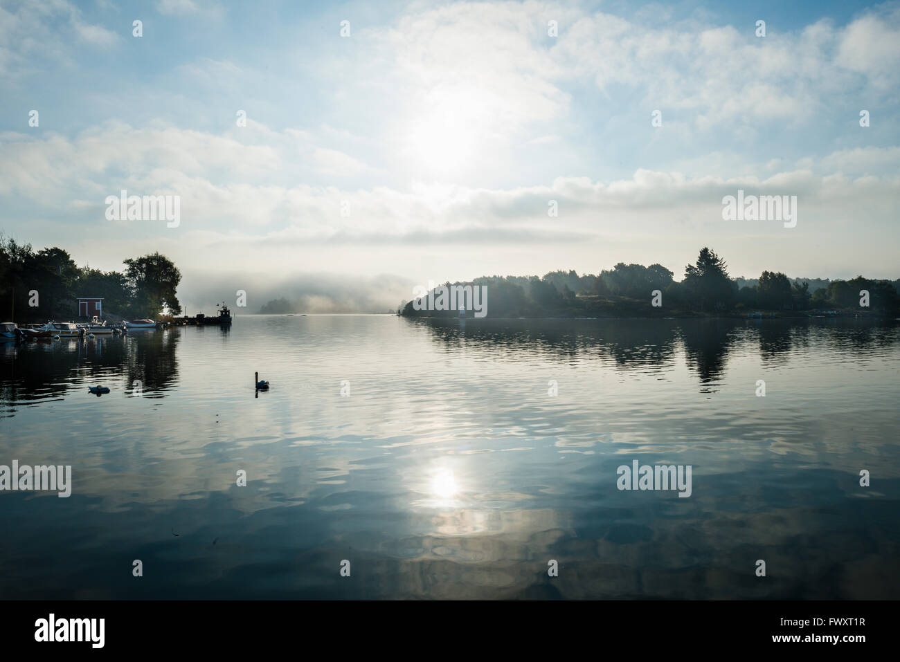 Sweden, Sodermanland, Gamla Oxelosund, Morning landscape with mute swam on water Stock Photo
