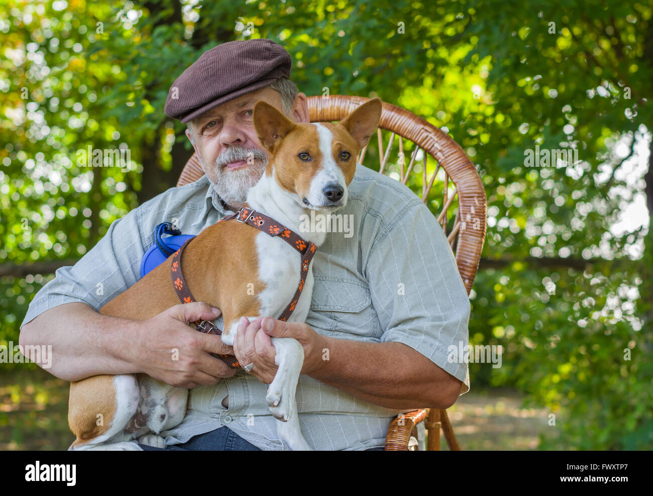 Portrait of young basenji and senior man sitting in a wicker chair in ...