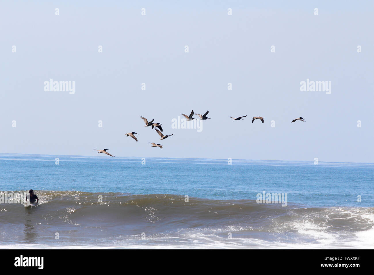 Surfing the waved. Photographed in El Salvador Stock Photo