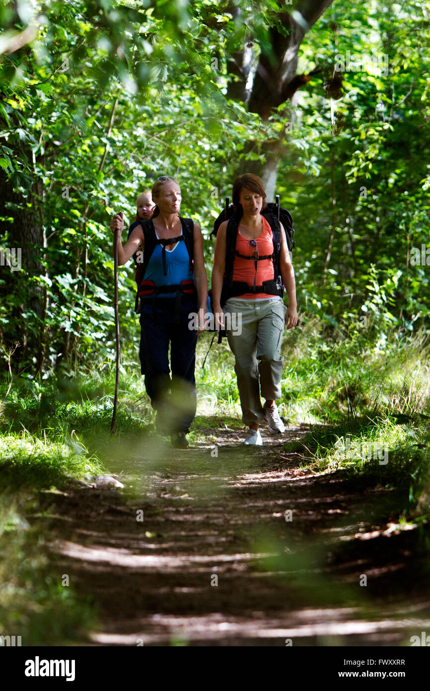 Women hiking forest hi-res stock photography and images - Alamy