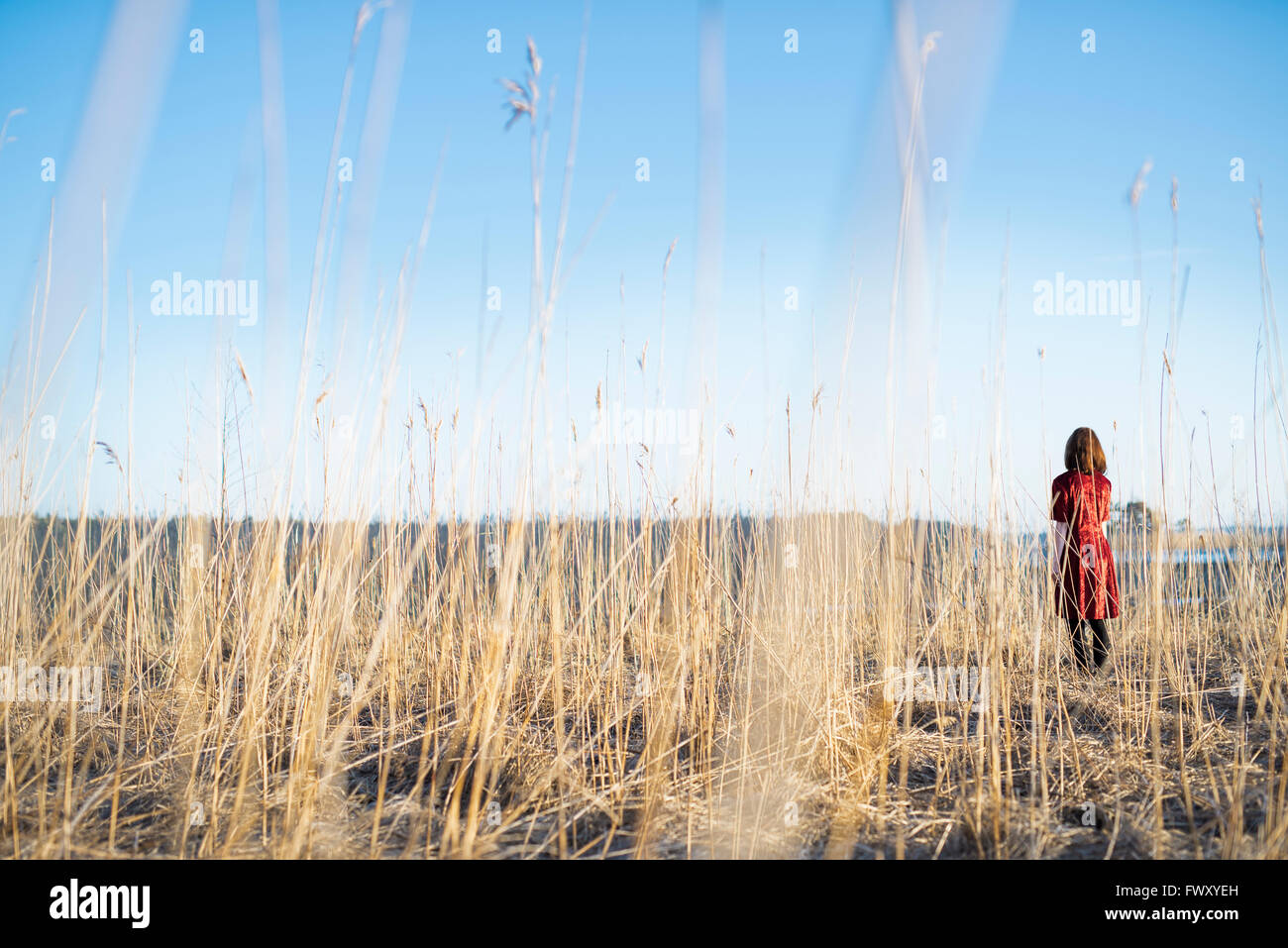 Finland, Varsinais-Suomi, Young woman standing in field Stock Photo