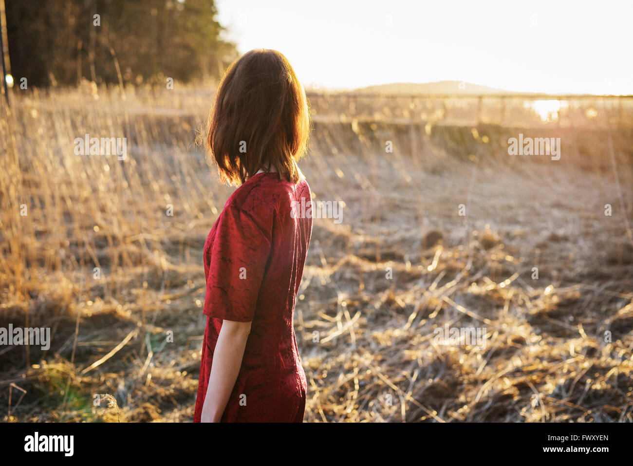 Finland, Varsinais-Suomi, Young woman standing in field Stock Photo