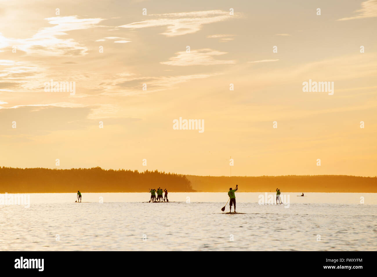 Finland, Varsinais-Suomi, Satakunda, Eura, Men competing on paddleboards at sunset Stock Photo