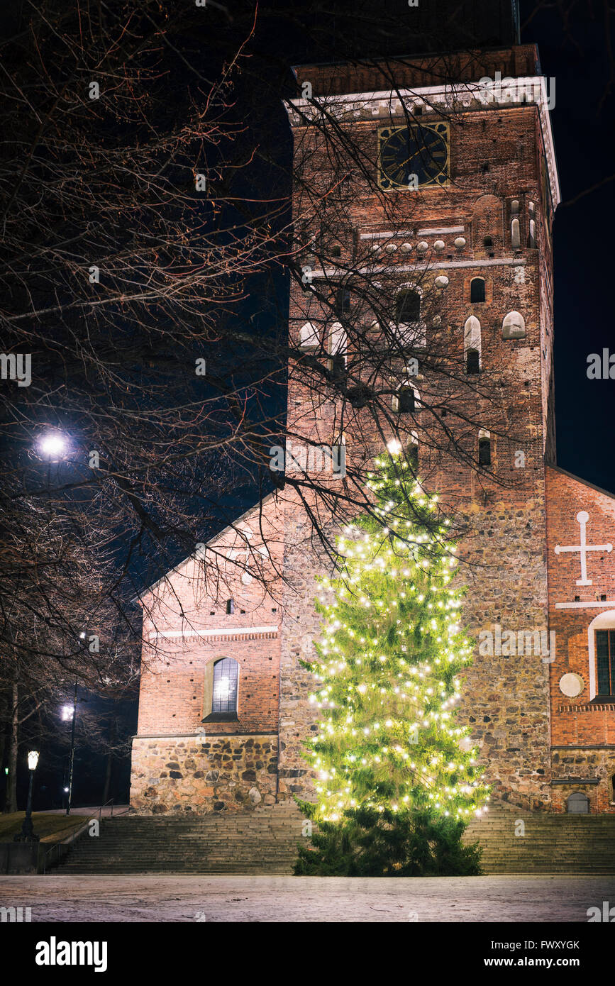 Finland, Varsinais-Suomi, Turku, Christmas tree in front of Turku Cathedral at night Stock Photo